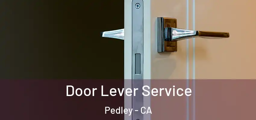  Door Lever Service Pedley - CA